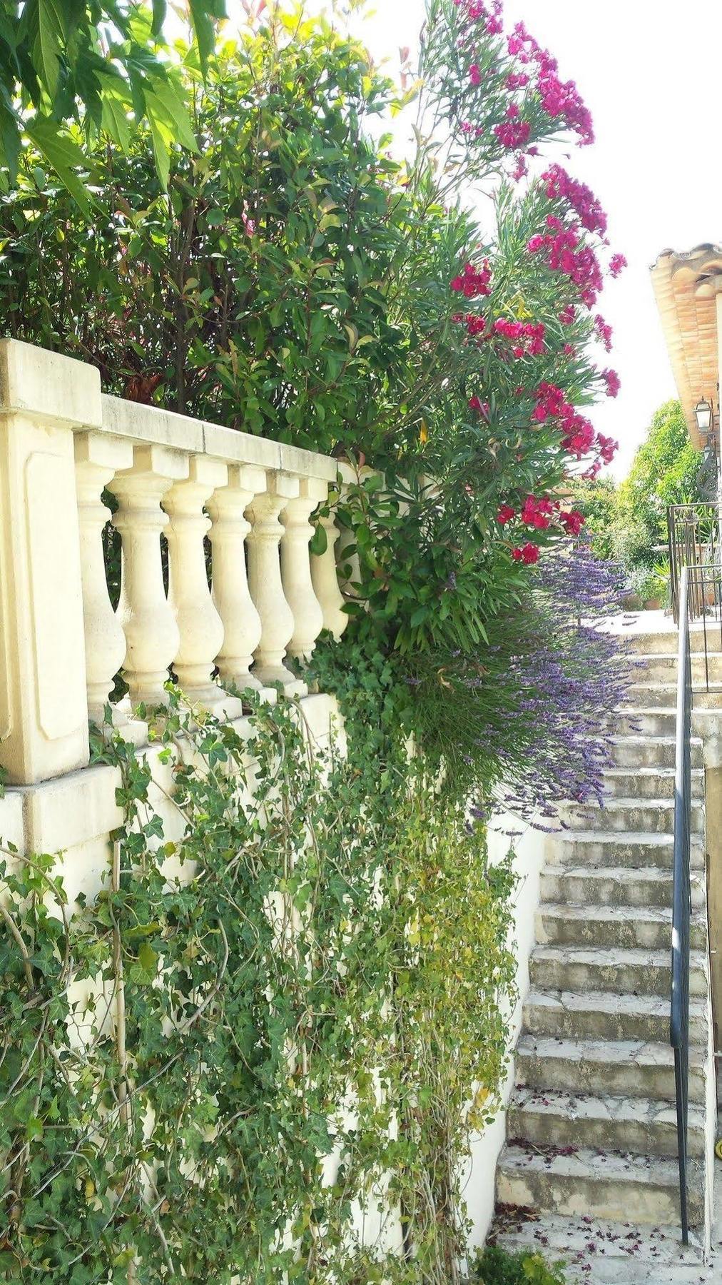 La Muse Du Paradis مونتارو المظهر الخارجي الصورة